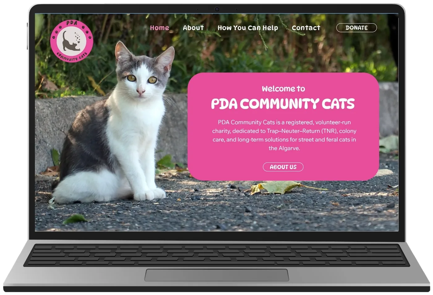 PDA Community Cats website