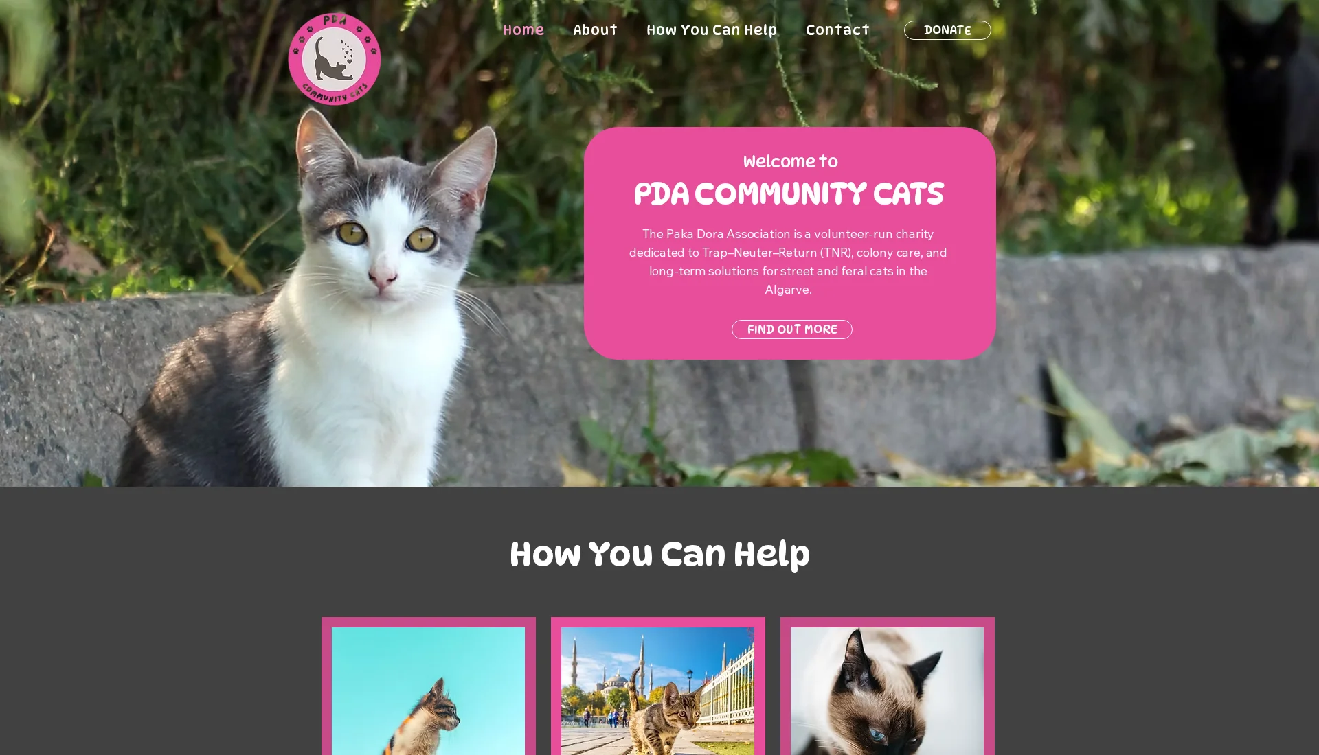 PDA Community Cats